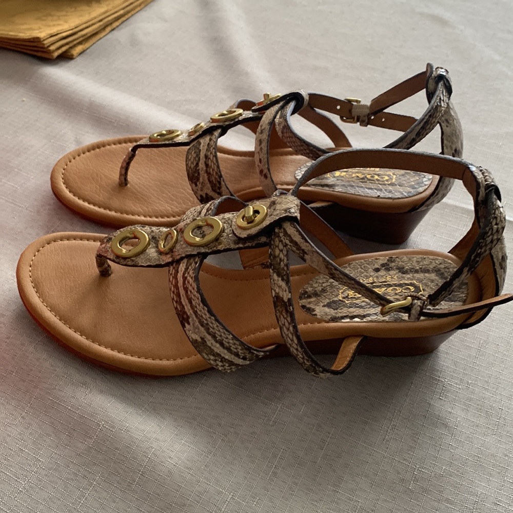 Coach Shoe Vicky Printed Python Natural. - image 3